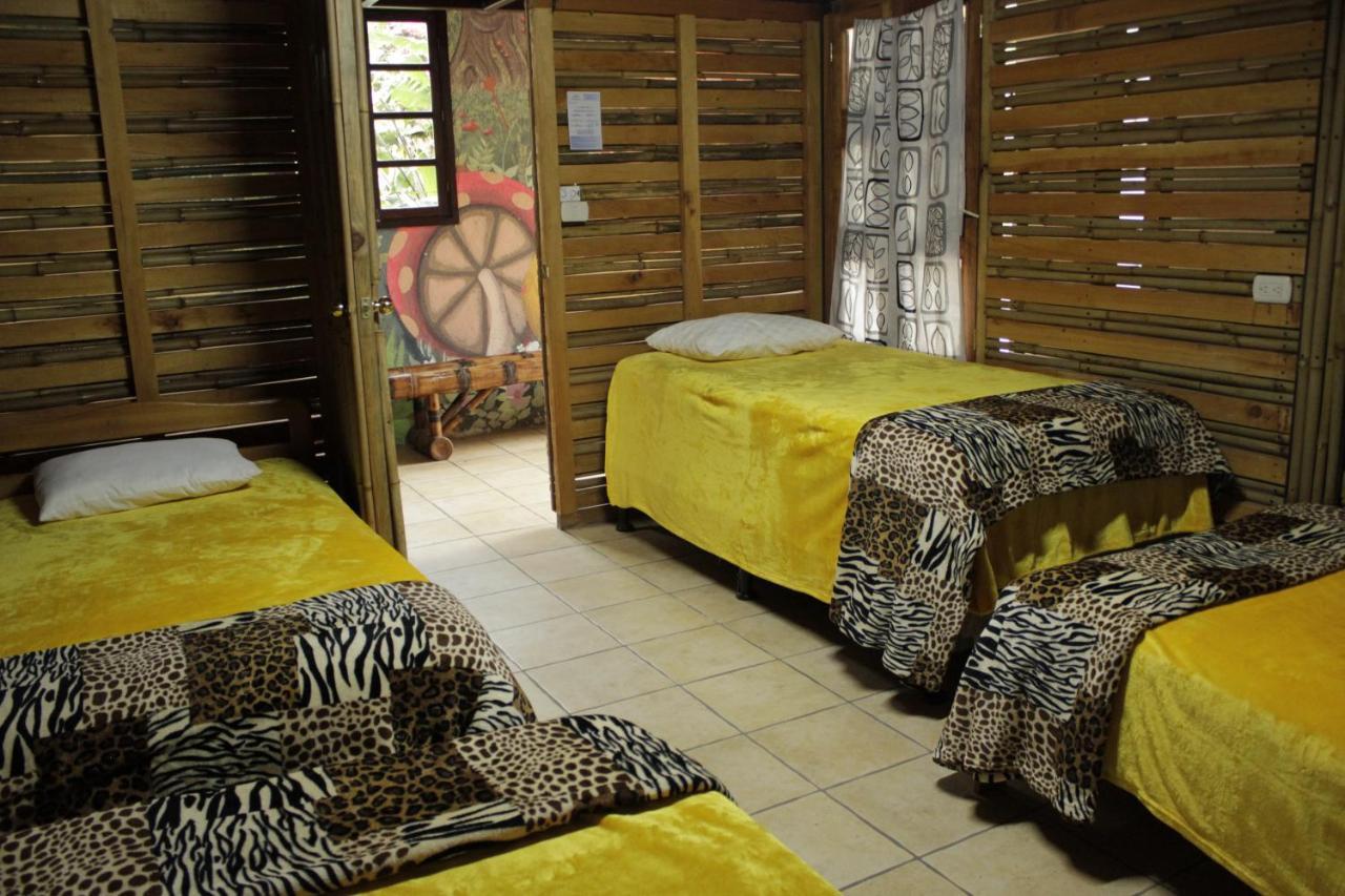Hostal Casa Buho Antigua Exteriér fotografie